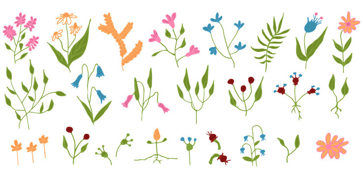 Hand drawn doodle set of color elements, spring and summer abstract plants and flowers