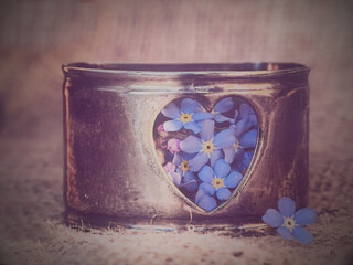 forget me not flower in a metal box