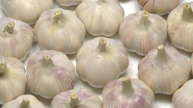 Fresh garlic bulbs rotation background. Loop motion