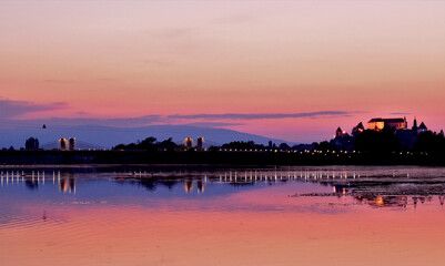 Fototapeta premium Purple night