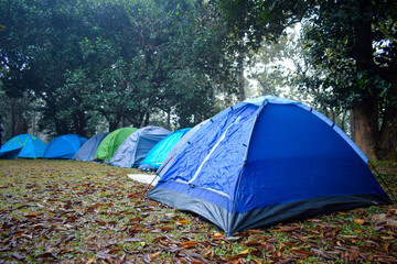 Camping and tent in a forest with beautiful sunlight in the morning. lot's of tent pitched in a row