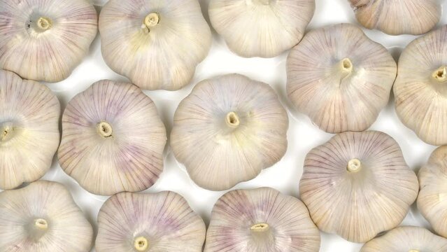 Fresh garlic bulbs rotation background. Loop motion