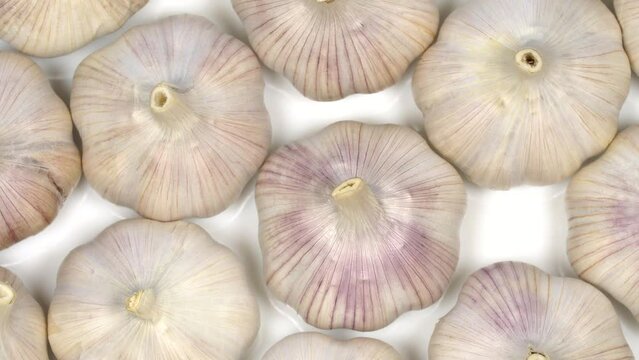 Fresh garlic bulbs rotation background. Loop motion