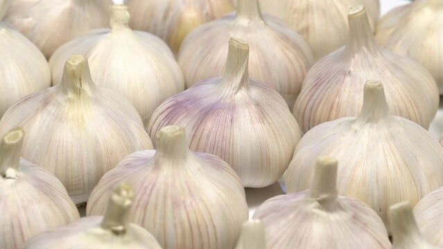 Fresh garlic bulbs rotation background. Loop motion