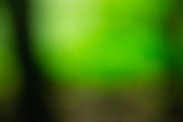 Abstract blur background for design.