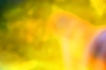 Abstract blur background for design.