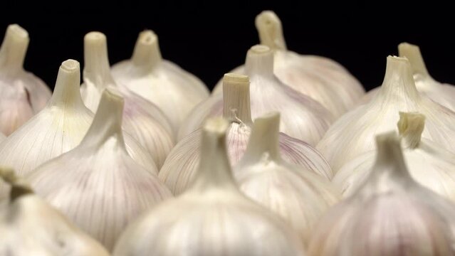 Fresh garlic bulbs rotation background. Loop motion