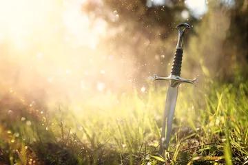 Fotobehang mysterious and magical photo of silver sword in the England woods and light flare. Medieval period concept © tomertu