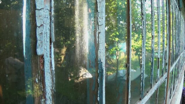 Dirty glass in old window frames. Very old cracked paint