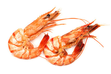 shrimps on a white background