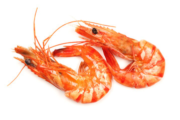 shrimps on a white background