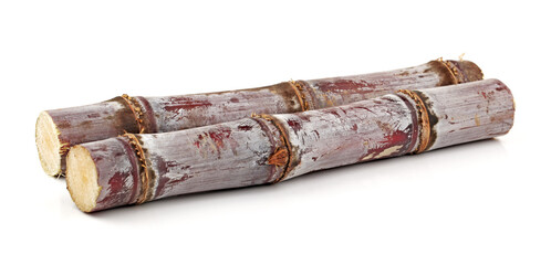 Sugar cane isolated on white background
