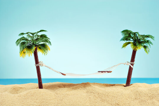 Palm Tree Hammock Images – Browse 20,173 Stock Photos, Vectors, and
