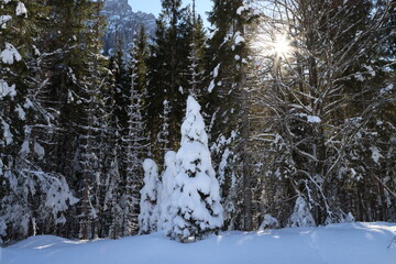 Winter landscape in Val Saisera, Italy