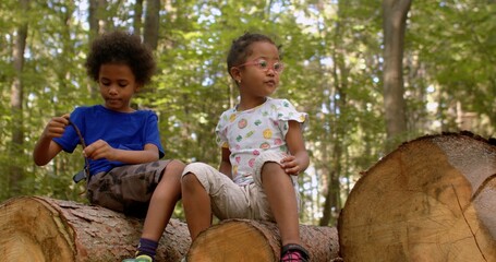 Portrait of playing curly emotionally close children on the logs in a city park. The quality of...
