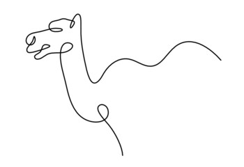 Silhouette of abstract camel  as line drawing on white. Vector