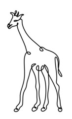 Silhouette of abstract giraffe as line drawing on white