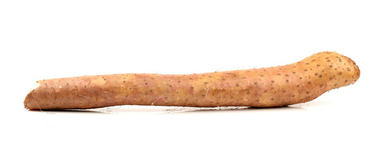 Chinese yam on white background