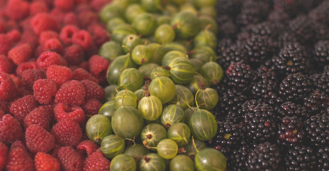 Summer fruity berry background. Table with berries and fruits. Summer breakfast, vacation, morning, sun. Berries, raspberries, blackberries, gooseberries. Vase with berries and fruits. 