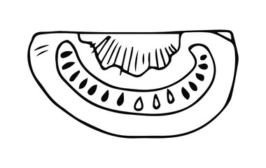 Tomato sliced and cut black and white doodle. Chopped vegetable ingredient tomato for burger and salad, sketch style.