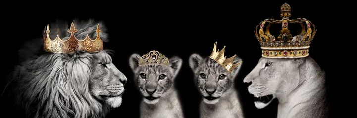Fotobehang Koninklijke leeuwen, Oerkoninkrijk, Leeuw met kronen, Koninklijke familie, Koninklijke familie Leeuwen © Melanie