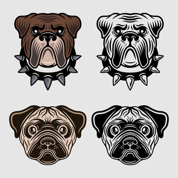 Dog heads characters set of vector objects in two styles colored and black and white. Animals collection, pug dog and bulldog muzzles