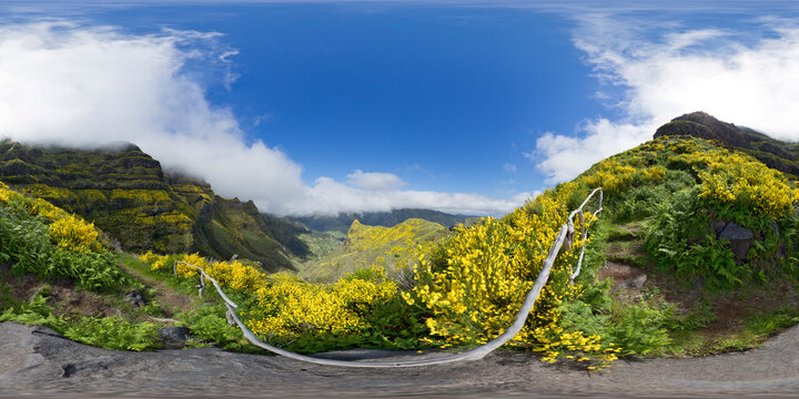 Flowering Madeira island