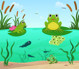 Cartoon frogs sitting on lily leaves at pond nature environment surrounded by reeds vector