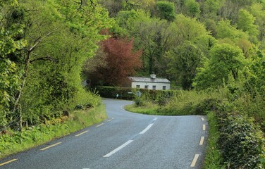 Winding country road bordered by greenery and passing by cottage home in rural County Ireland...