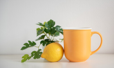 Obraz na płótnie Canvas Mug jaune avec citron et plante verte dans un décor blanc