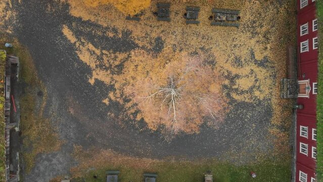 A gorgeous autumn in the historic city of Norway, Stiklestad Cultural History Museum