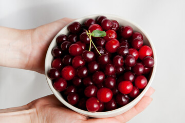 hands holding a white plate filled with cherries