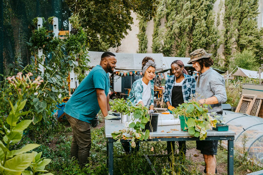 Multiracial male and female volunteers talking at table in urban farm