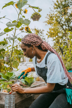 Young female environmentalist planting vegetables in organic farm