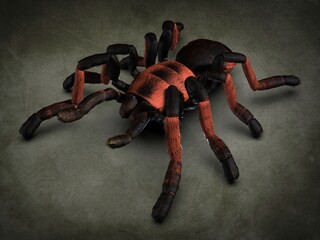 Tarantula spider close-up. 3d illustration