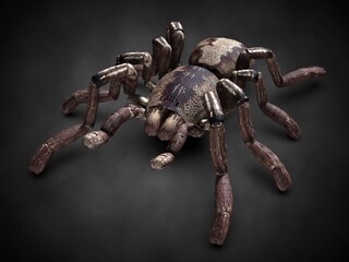 Tarantula spider close-up. 3d illustration