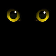 Yellow eyes of a black cat