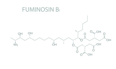 Fuminosin B1 molecular skeletal chemical formula.	
