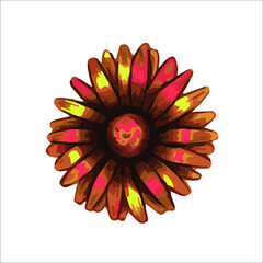 red and yellow flower