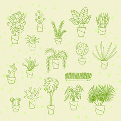 Set of home plants. Linear hand drawing.