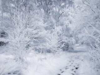 Digital painting of a rural winter snow scene on Wetley Moor, Staffordshire, UK.