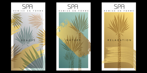 Série de 3 flyers pour un établissement de spa avec un graphisme végétal (un yucca) et abstrait aux couleurs douces, grise, verte et or.
