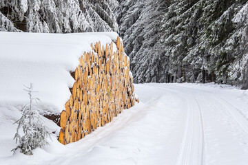 Landschaft im Winter im Thüringer Wald in der Nähe von Schmiedefeld am Rennsteig
