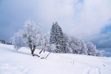 Landschaft im Winter im Thüringer Wald in der Nähe von Schmiedefeld am Rennsteig