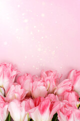 Creative spring background composition colorful flowers on pink background.