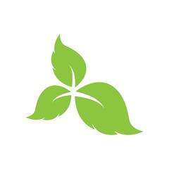leaf logo icon vector design template