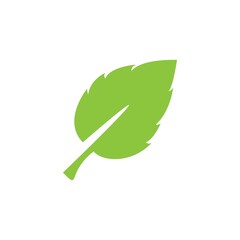 leaf logo icon vector design template
