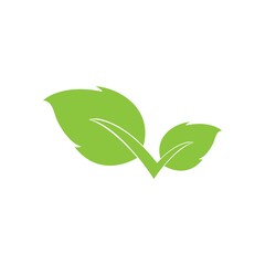 leaf logo icon vector design template
