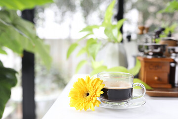 Coffee glass cup and yellow gerbera flower