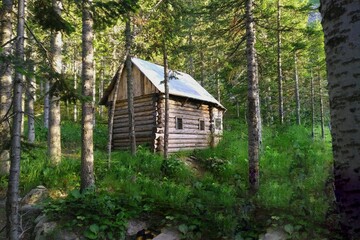A mysterious shack in the summer forest